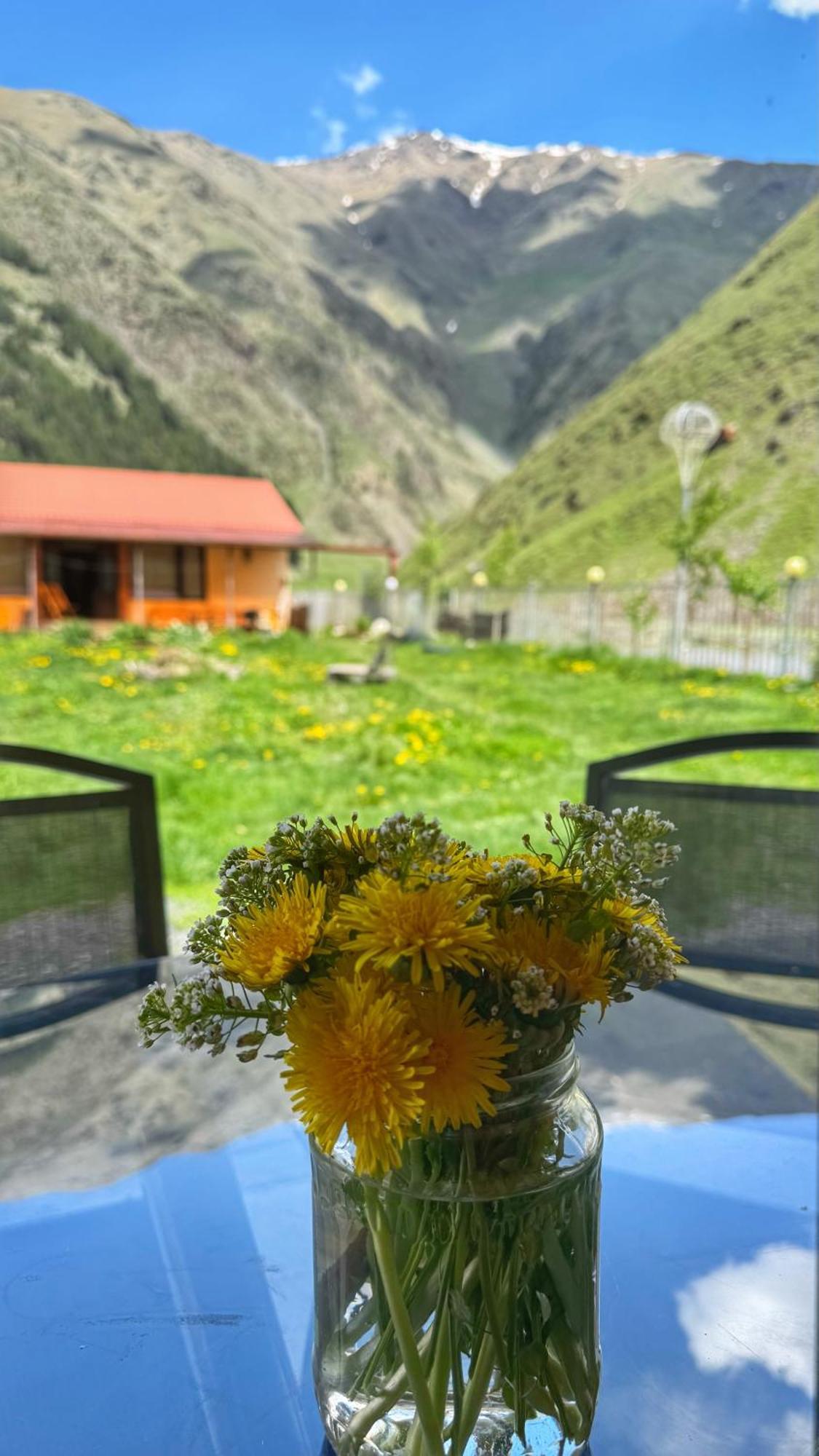Holiday home Januka Garden At Sno Stepantsminda